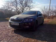 Skoda Octavia 1.4 TSI DSG 2013