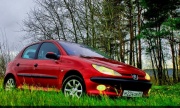 Peugeot 206 1.4 MT 2001