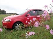 Chevrolet Aveo 1.4i MT 2006