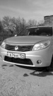 Renault Sandero 1.6 MT 2013