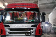 Scania P 2012