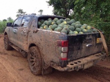 Ford Ranger 2.2 TD MT 4x4 2013