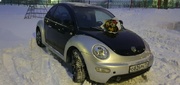 Volkswagen New Beetle 2.0 MT 1999