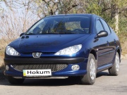 Peugeot 206 1.4 MT 2007