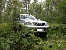 Toyota Land Cruiser 4.0 AT 2005