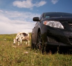 Toyota Corolla 1.6 MT 2008